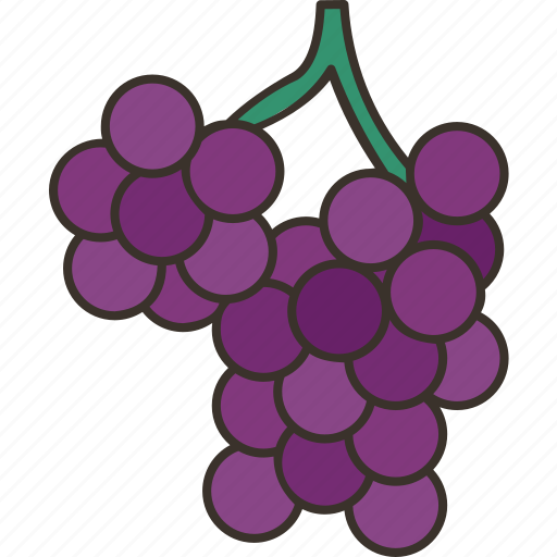 Grapes, fruit, sweet, grapevine, winery icon - Download on Iconfinder