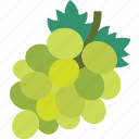 grapes, bunch, juicy, vine, harvest