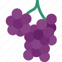 grapes, fruit, sweet, grapevine, winery