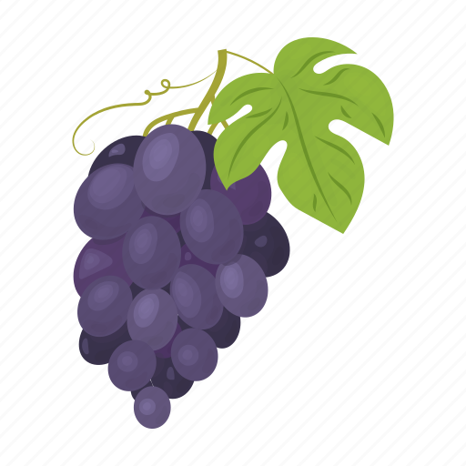 Berry, blue, bunch, fruit, grape, leaf icon - Download on Iconfinder