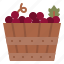grape, bucket, harvest, winery 