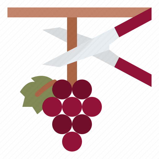 Harvesting, grapes, clusters, winery icon - Download on Iconfinder