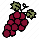grape, fruit, wine, winery