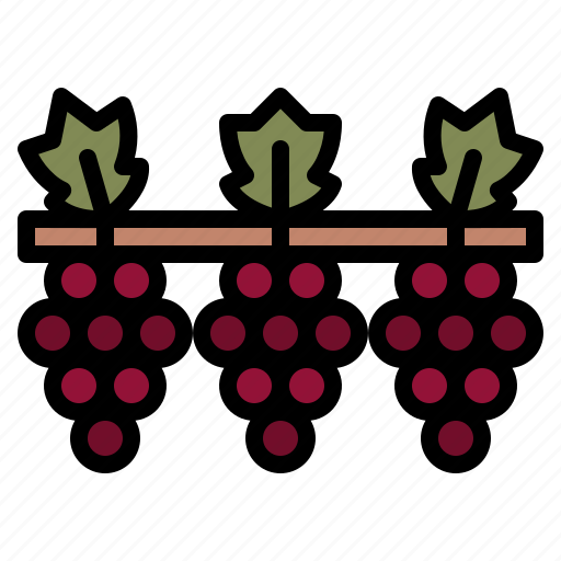 Grape, harvest, winery, track icon - Download on Iconfinder