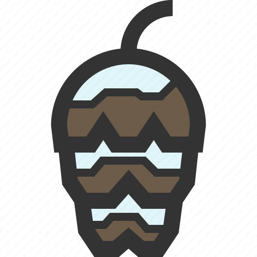 Cone, forest, pine, winter icon - Download on Iconfinder