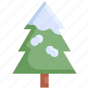 christmas, environment, nature, pine, plant, snow, tree