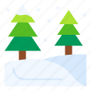 forest, snow, pine, tree, fall, weather
