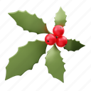 mistletoe, christmas 
