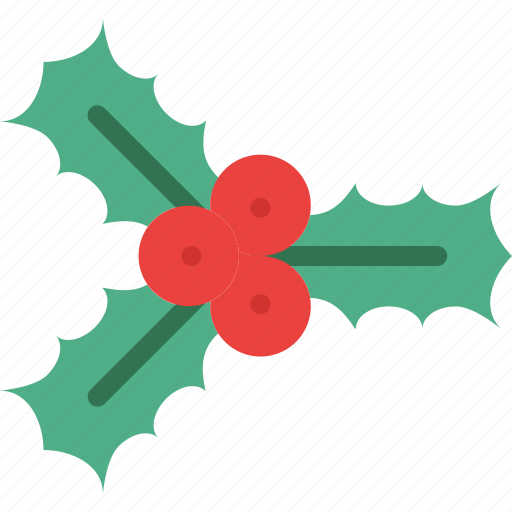 Mistletoe, ornament, christmas, xmas icon - Download on Iconfinder