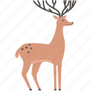 deer, christmas, animal, zoo, winter