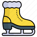 skating, boot, shoe, footwear, accessory, blading, skates