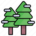 christmas tree, snow, winter, xmas, decorated, cedar, branches