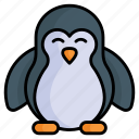 penguin, spheniscidae, specie, auk, seabird, bird, undersea