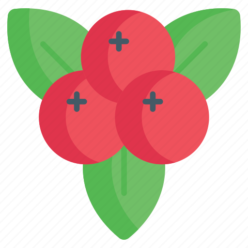 Berries, edible, festive, holy, natural, diet icon - Download on Iconfinder