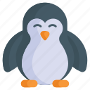 penguin, spheniscidae, specie, auk, seabird, bird, undersea