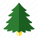 christmas, decoration, fir, pine, spruce, tree, winter