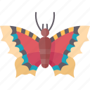 butterfly, nymphalis, antiopa, moth, insect