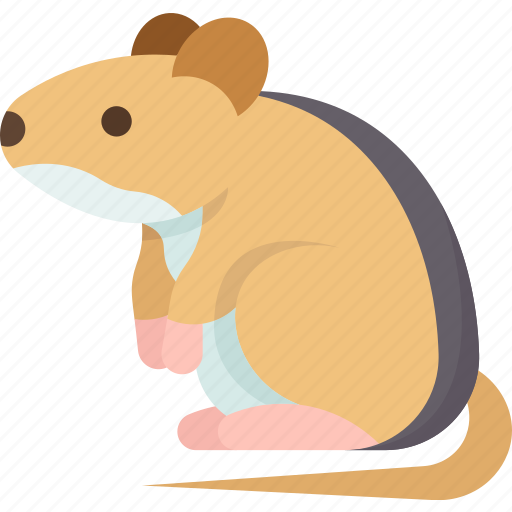 Mouse, rodent, animal, fauna, field icon - Download on Iconfinder