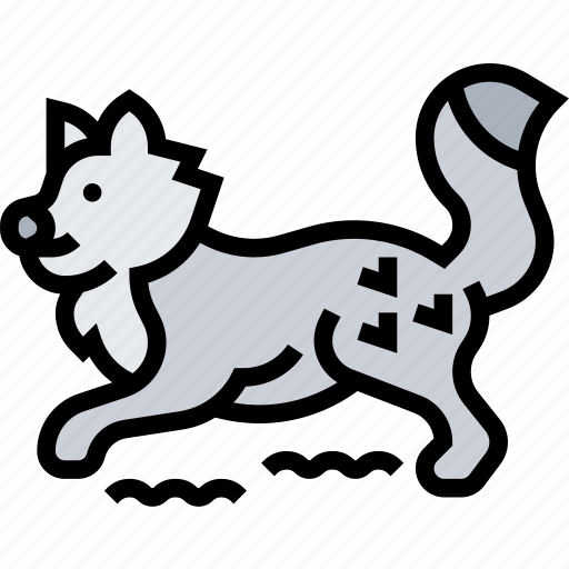Fox, arctic, vulpes, wildlife, winter icon - Download on Iconfinder
