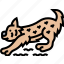 lynx, bobcat, predator, animal, snow 