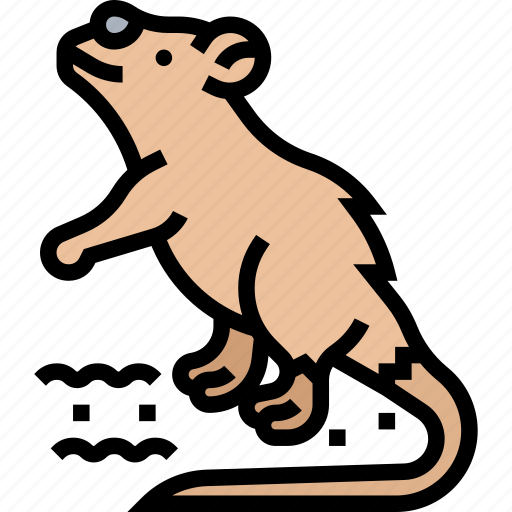 Rodent, mouse, animal, pest, fur icon - Download on Iconfinder