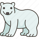 bear, polar, mammal, wildlife, arctic