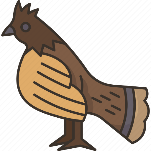 Grouse, ruffed, bird, boreal, forest icon - Download on Iconfinder