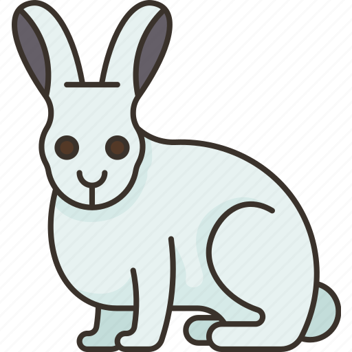Hare, arctic, lepus, animal, tundra icon - Download on Iconfinder
