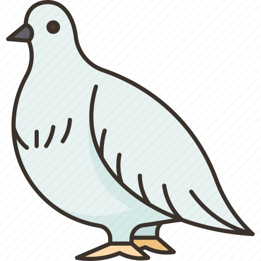 Lagopus, grouse, bird, wildlife, nature icon - Download on Iconfinder