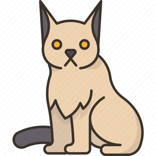 Lynx, bobcat, vertebrate, hunter, fauna icon - Download on Iconfinder