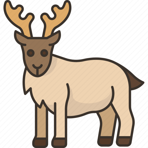 Reindeer, antler, wildlife, animal, arctic icon - Download on Iconfinder