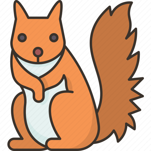 Squirrel, rodent, animal, tree, nature icon - Download on Iconfinder