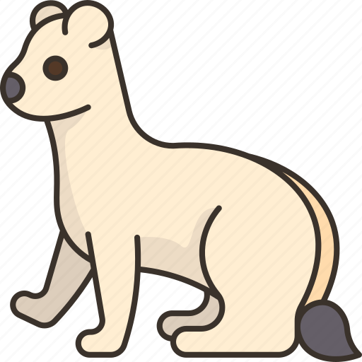 Stoat, weasel, mammal, carnivorous, winter icon - Download on Iconfinder