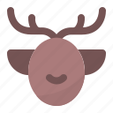 deer, animal, winter, xmas, santa