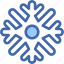 snowflake, haw, weather, cold, winter, snow, nature 