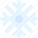 snowflake, haw, weather, cold, winter, snow, nature