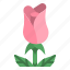 rose, flower, botanical, blossom, nature 