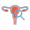 examination, fallopian tube, female, gynecology, magnifier, reproductive system, vagina