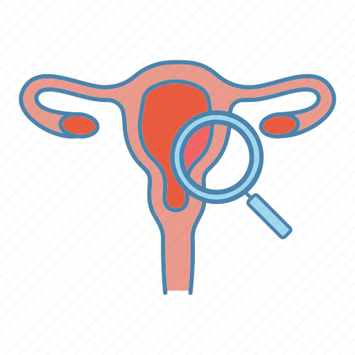 Examination, fallopian tube, female, gynecology, magnifier, reproductive system, vagina icon - Download on Iconfinder