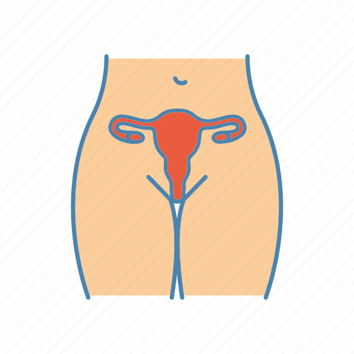 Anatomy, fallopian tubes, female, gynecology, reproductive system, uterus, vagina icon - Download on Iconfinder
