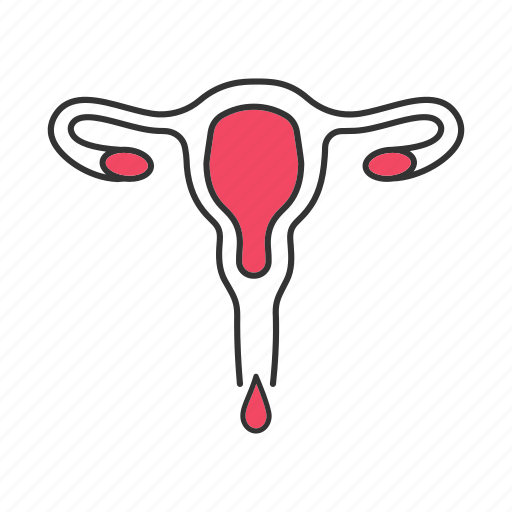 Fallopian tubes, female, menstrual bleeding, menstruation, period, uterus, vagina icon - Download on Iconfinder