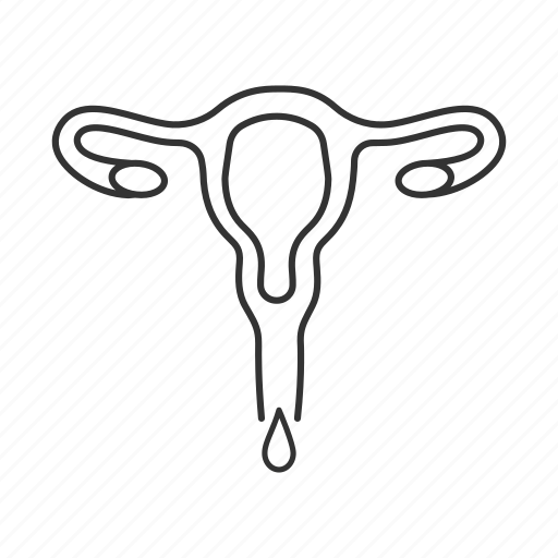 Fallopian tubes, female, menstrual bleeding, menstruation, period, uterus, vagina icon - Download on Iconfinder