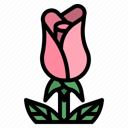 Rose, flower, botanical, blossom, nature icon - Download on Iconfinder