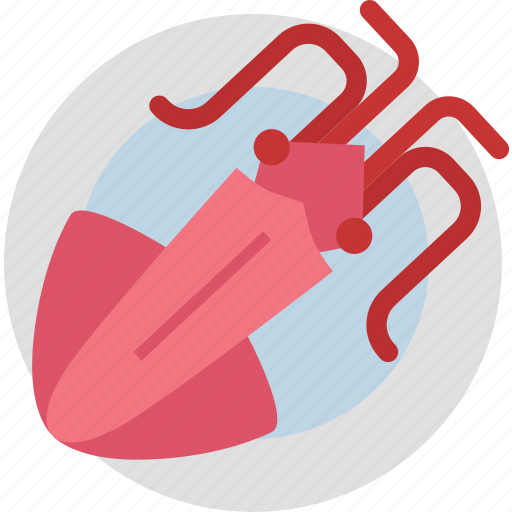 Flying, squid, aquatic, marine, restaurant, sea, creature icon - Download on Iconfinder