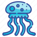 jellyfish, aquatic, aquarium, animal, nature