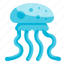 jellyfish, aquatic, aquarium, animal, nature 