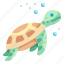 turtle, sea, aquatic, animal, aquarium 