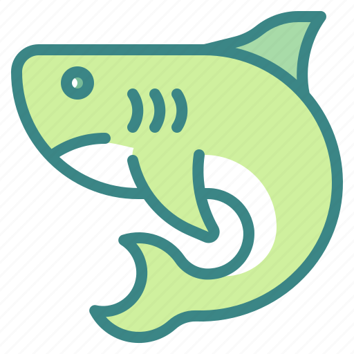 Shark, fish, animal, predator, aquatic icon - Download on Iconfinder