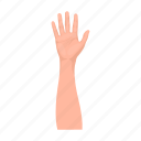 finger, fist, gesture, hand, movement, palm, wrist
