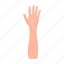 finger, fist, gesture, hand, movement, palm, wrist 